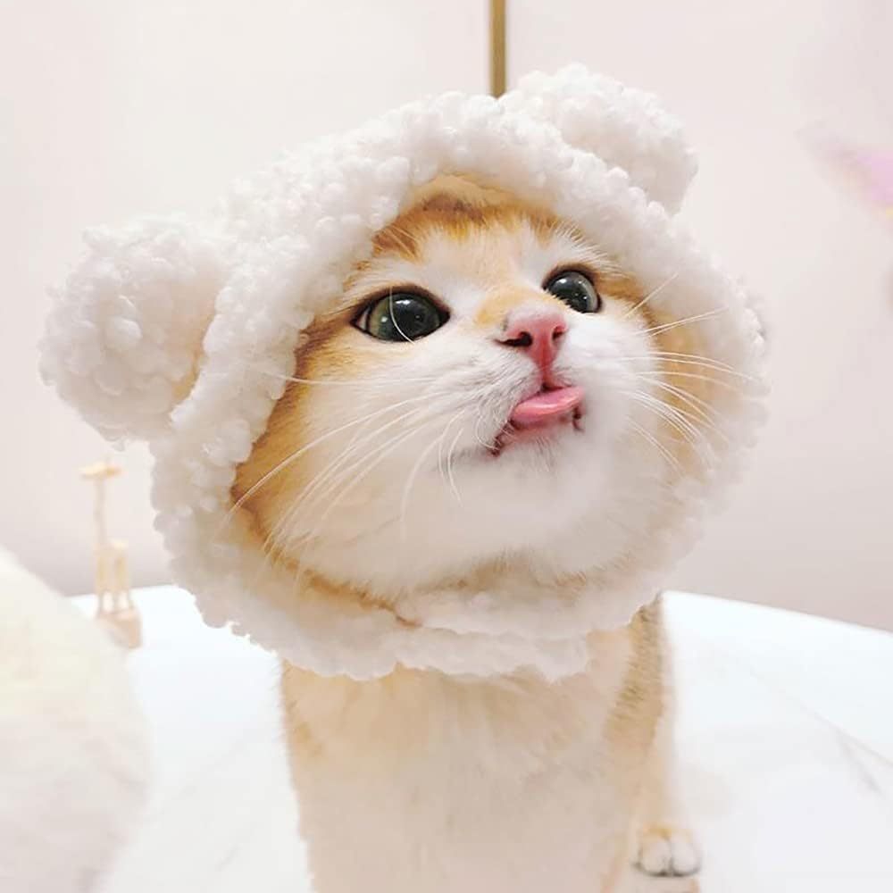Cute Cat Bear Hat Warm Soft Small Pet Headwear